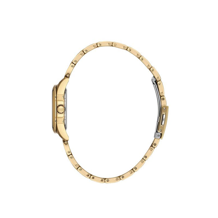 Daniel Klein Womens Mother Of Pearl Dial Watch In Gold