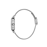 Daniel Klein Ladies Watch In Silver