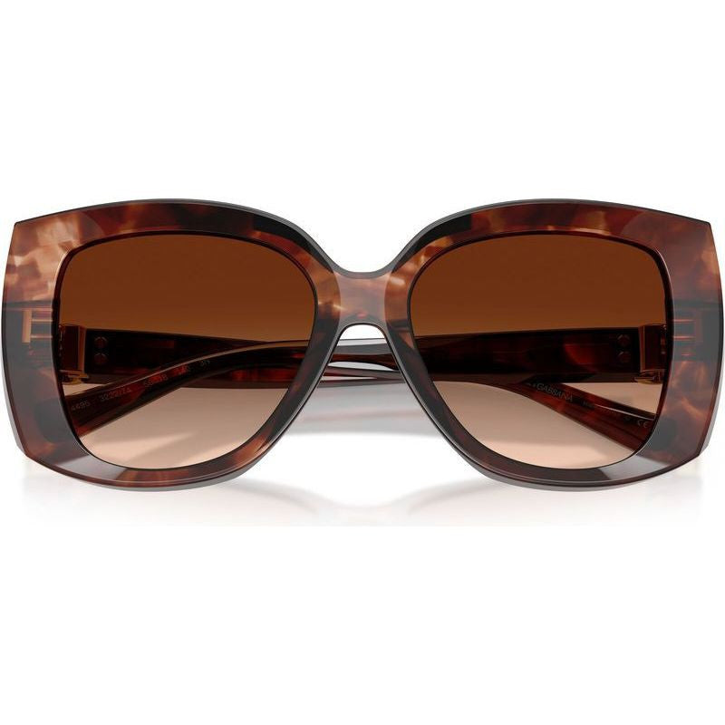 Dolce & Gabbana Women Sunglasses In Dark Brown