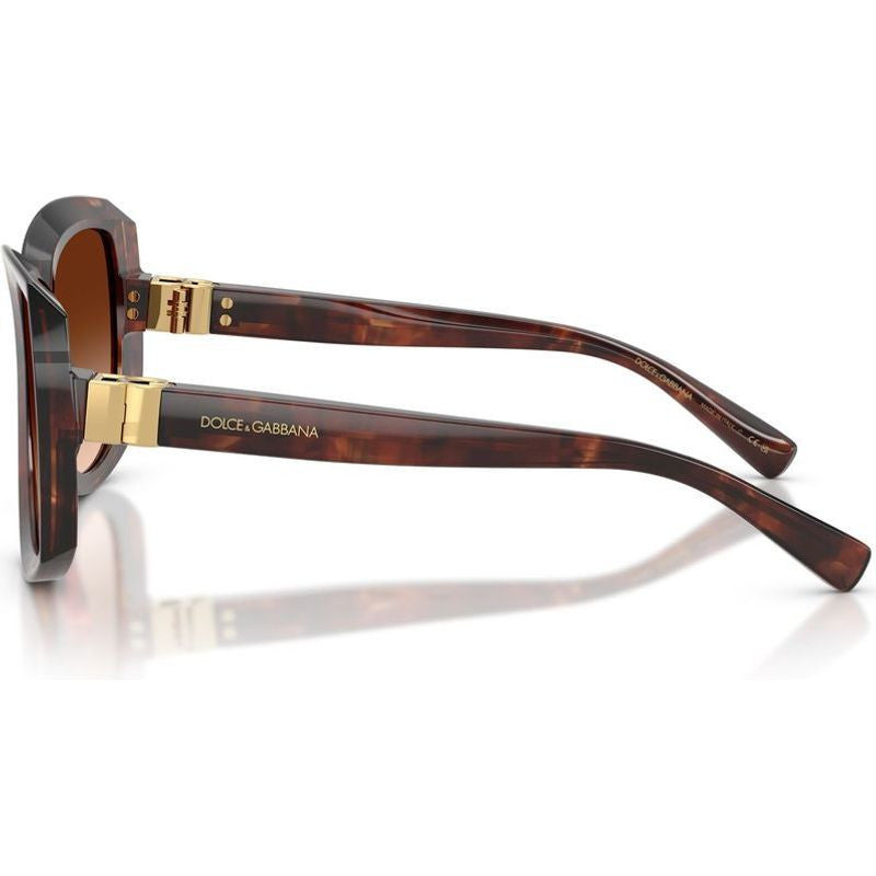 Dolce & Gabbana Women Sunglasses In Dark Brown