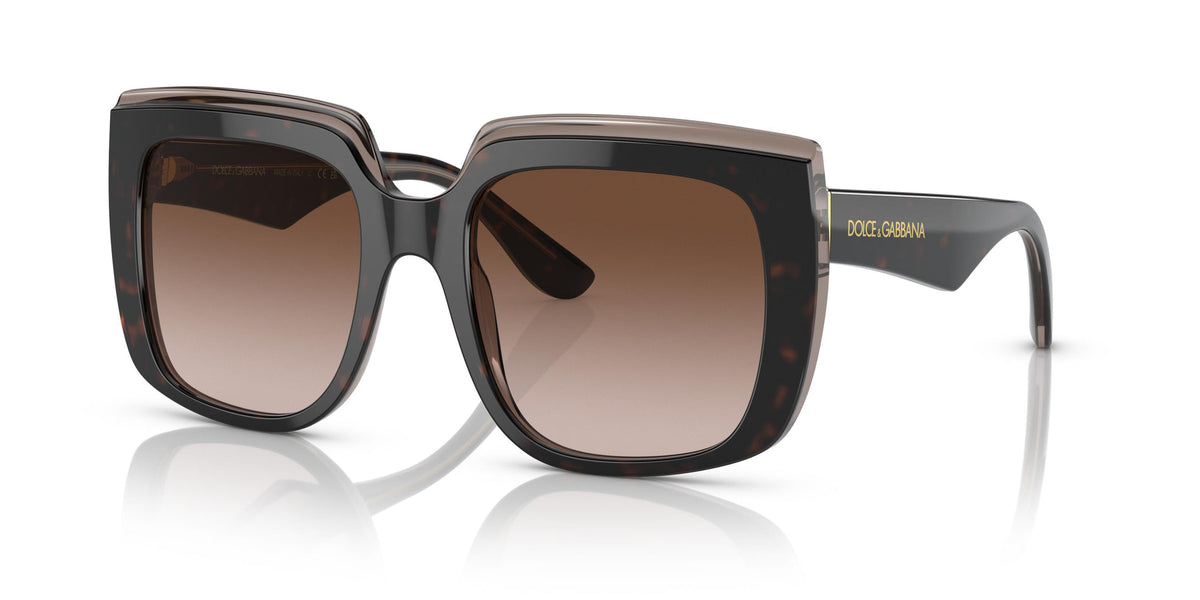 Dolce & Gabbana Sunglasses For Women In Havana