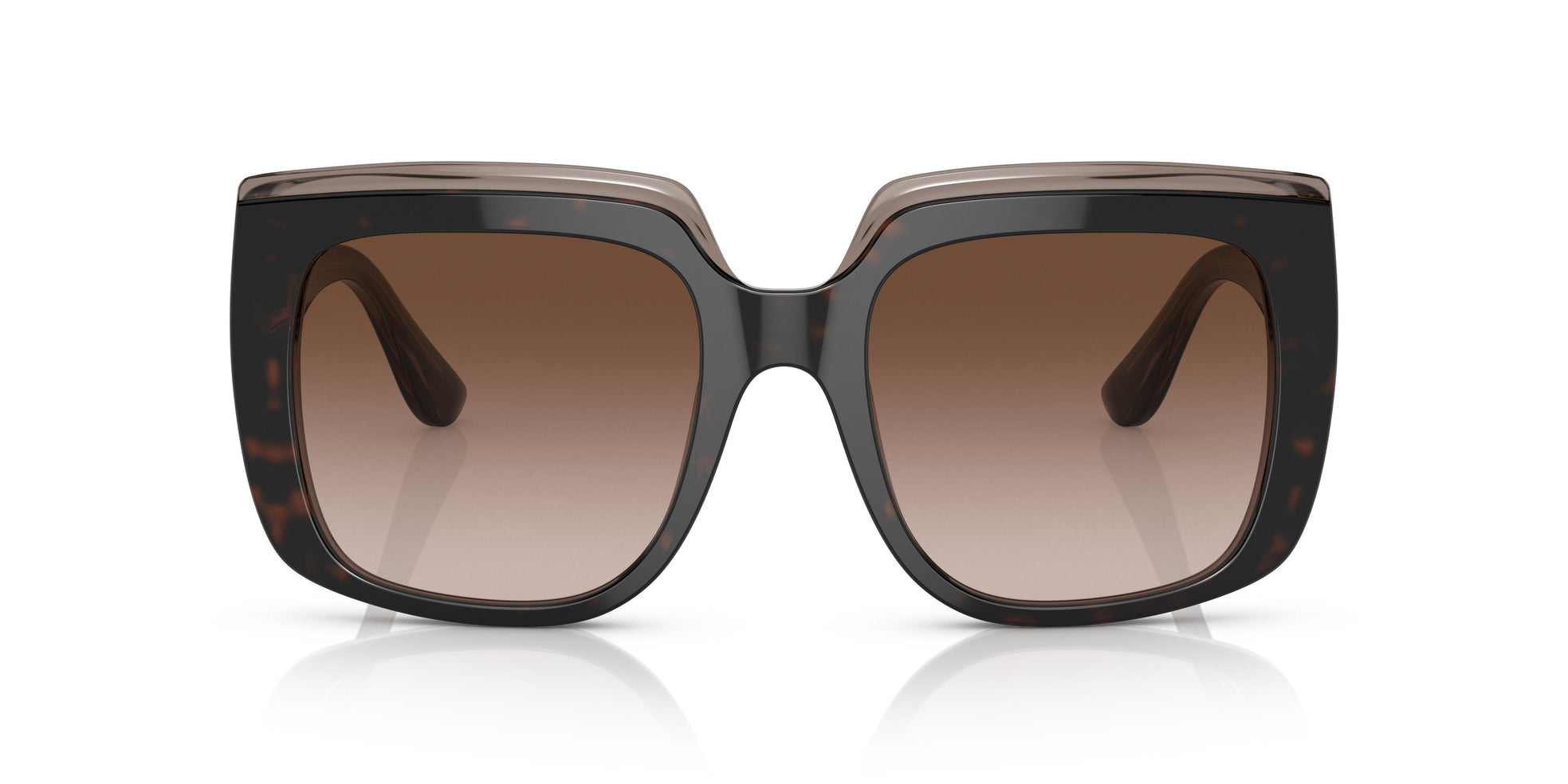 Dolce & Gabbana Sunglasses For Women In Havana