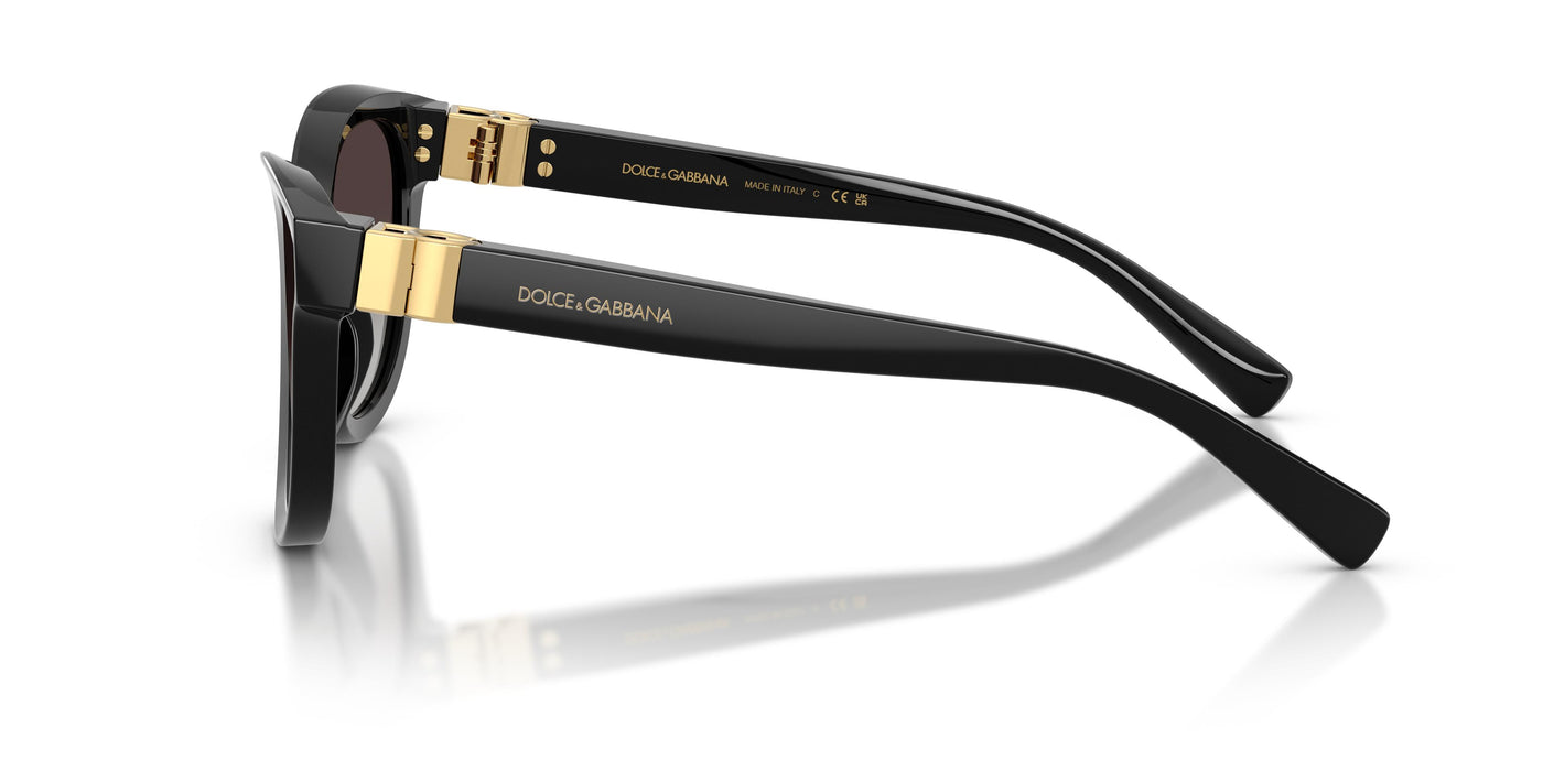 Dolce & Gabbana Womens Black Sunglasses