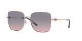 Emporio Armani Unisex Shiny Sunglasses In Rose Gold