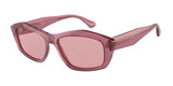 Emporio Armani Acetate Frame Sunglasses In Pink
