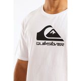 Quiksilver Boys Corp Logo T-Shirt In White