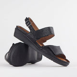Froggie Ladies Lea Jumper Sandals Black