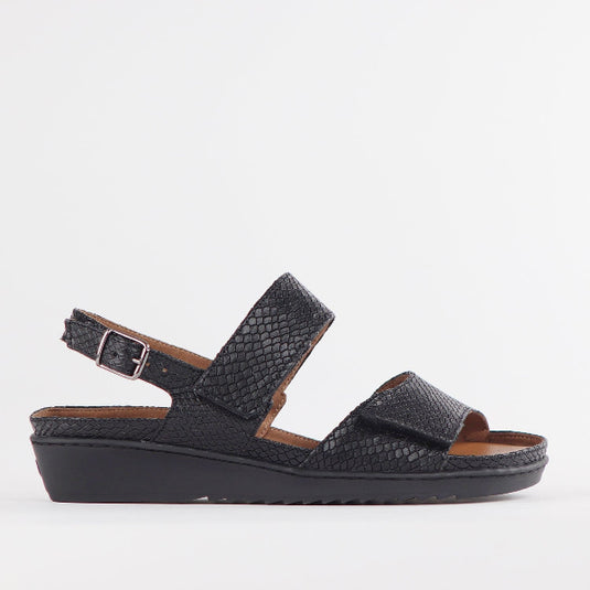 Froggie Ladies Lea Jumper Sandals Black
