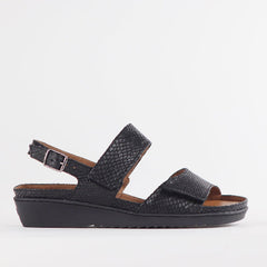 Froggie Ladies Lea Jumper Sandals Black