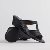 Froggie 11621 Shoe Black