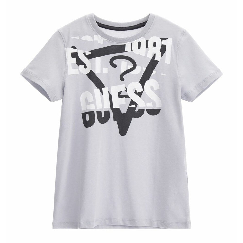 Guess Boys Short Sleeves T- Shirt In Grey
