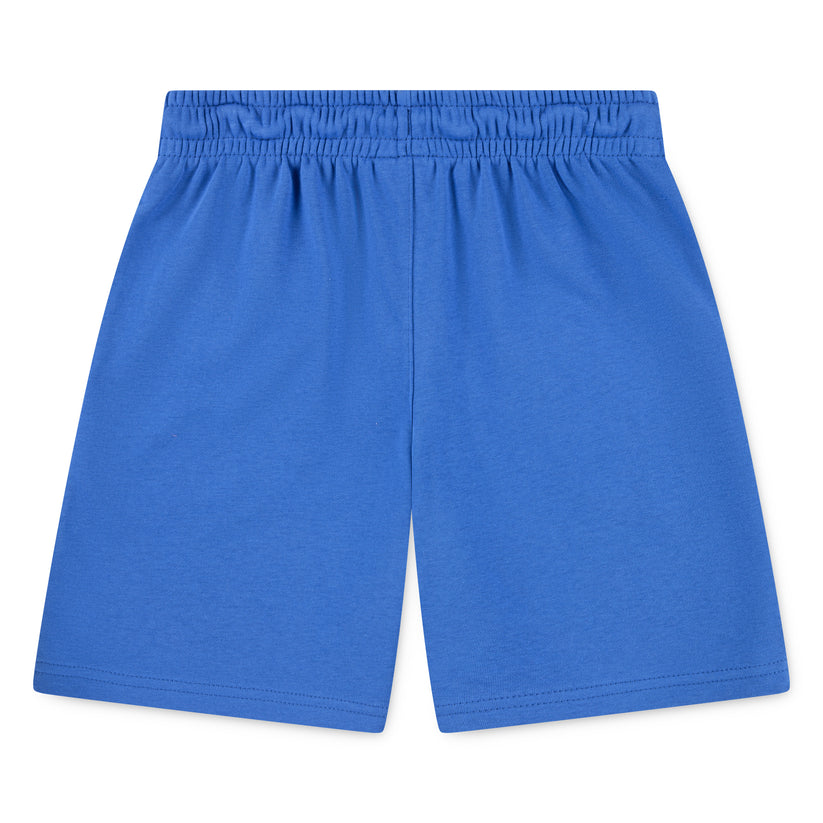 Jordan Boys MVP Shorts In Blue