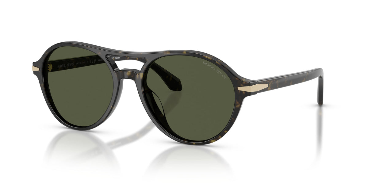 Giorgio Armani Ladies Sunglasses In Havana