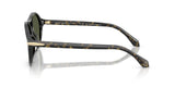 Giorgio Armani Ladies Sunglasses In Havana