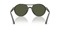 Giorgio Armani Ladies Sunglasses In Havana