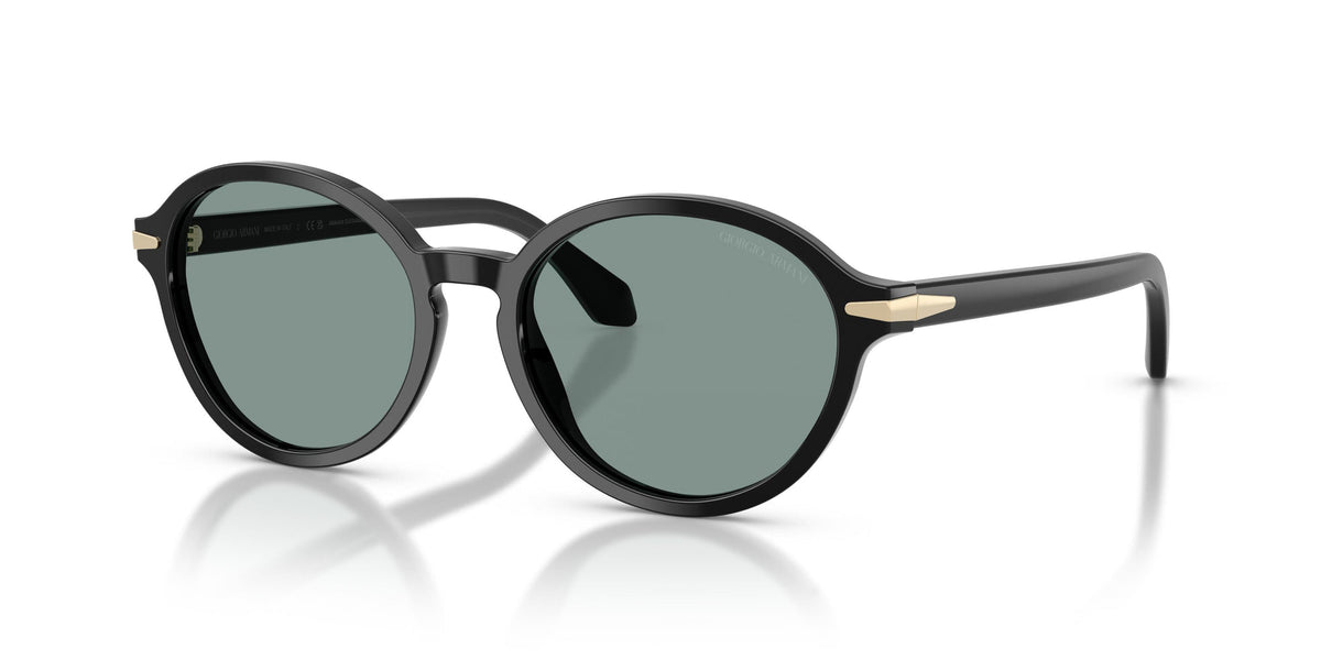 Giorgio Armani Ladies Sunglasses In Black