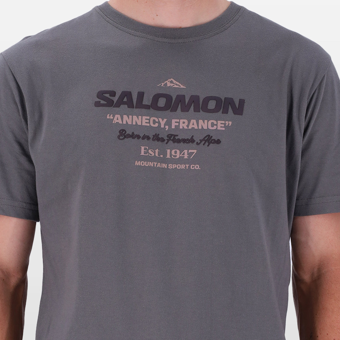 Salomon Mens Hinghellar Short Sleeves T-Shirts In Castle Rock