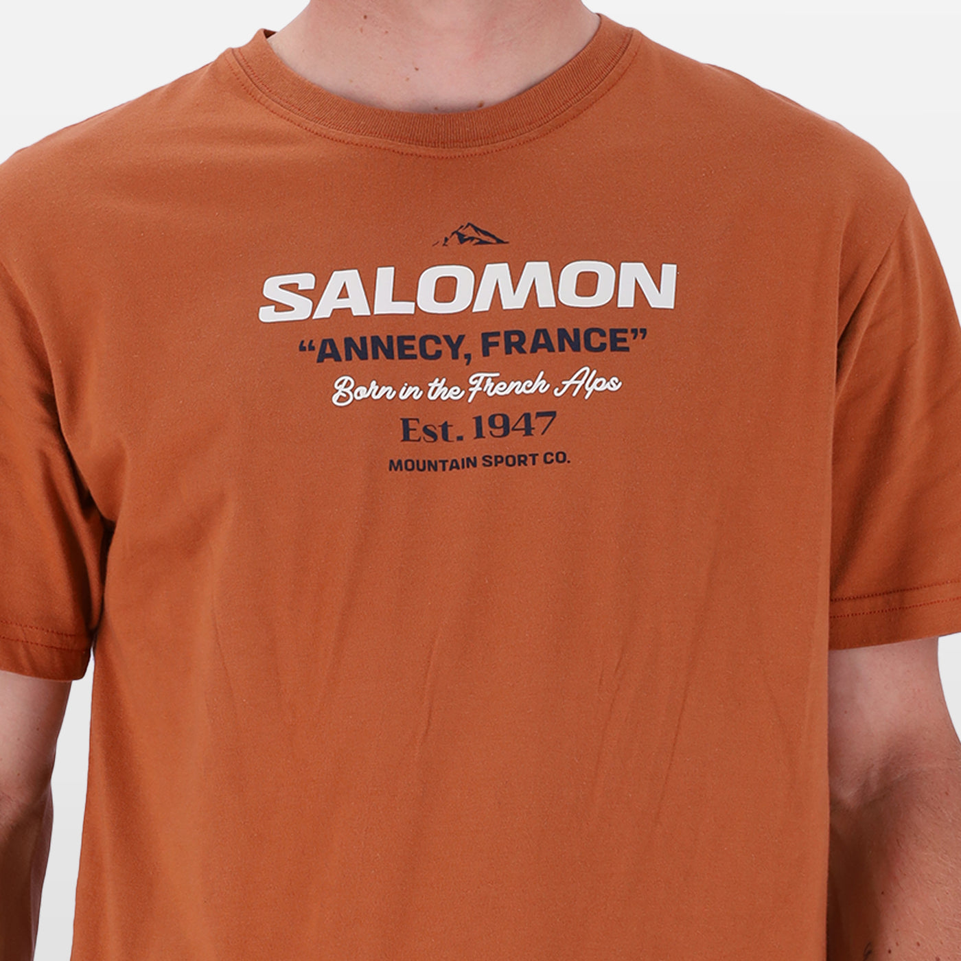 Salomon  Mens Hinghellar Ss Tee Sienna