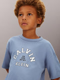 Calvin Klein Boys Varsity Graphic T-Shirt In Blue
