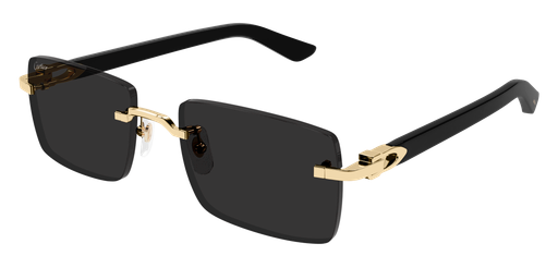 Cartier Sunglasses  Ct0579S-001 55 Square