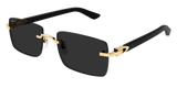Cartier Sunglasses  Ct0579S-001 55 Square