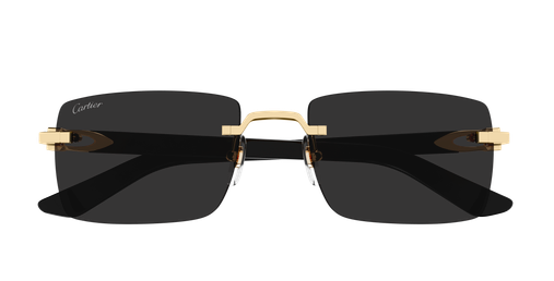 Cartier Sunglasses  Ct0579S-001 55 Square
