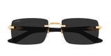 Cartier Sunglasses  Ct0579S-001 55 Square