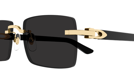 Cartier Sunglasses  Ct0579S-001 55 Square
