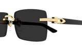 Cartier Sunglasses  Ct0579S-001 55 Square