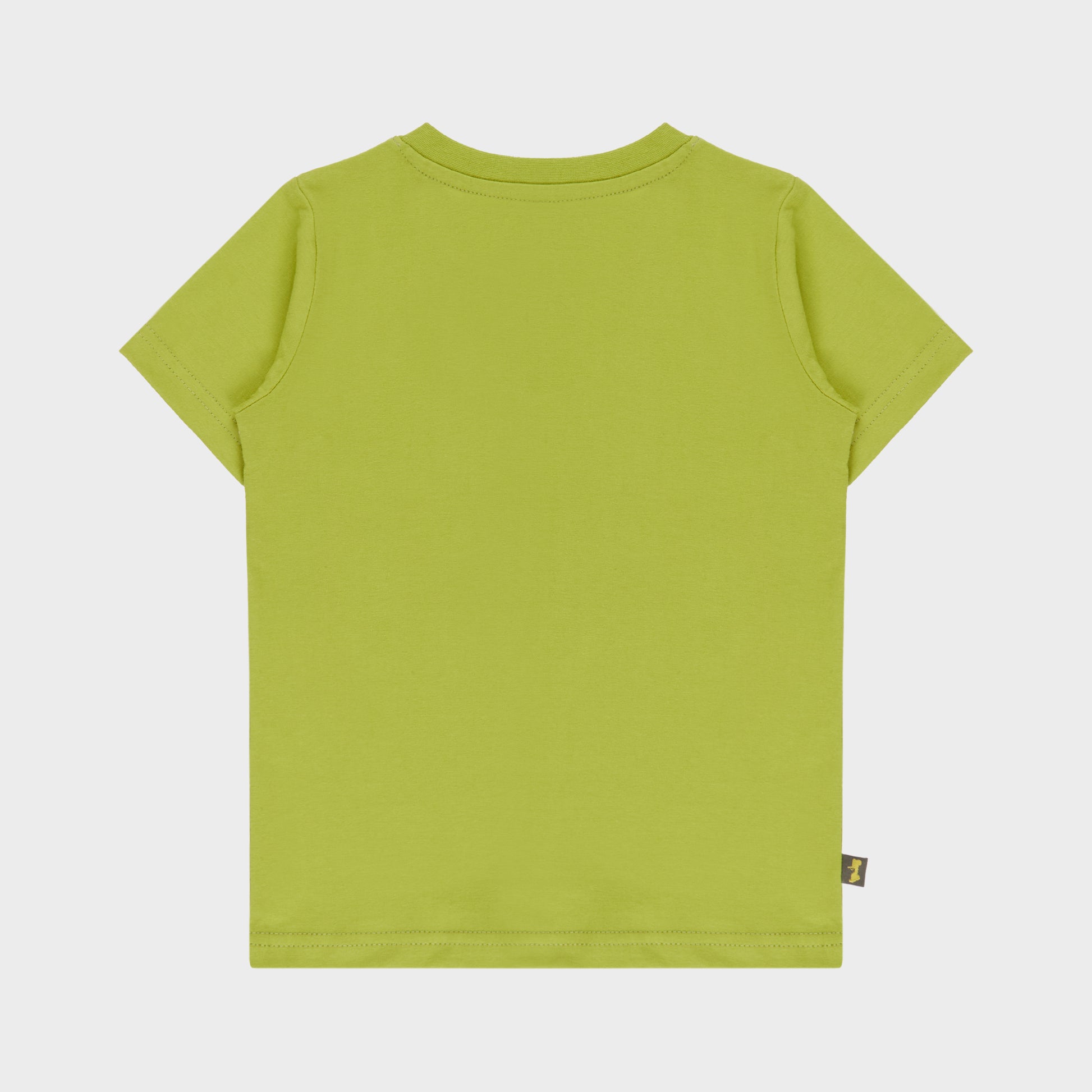 Jeep Boys Icon Star Logo T-Shirt In Green