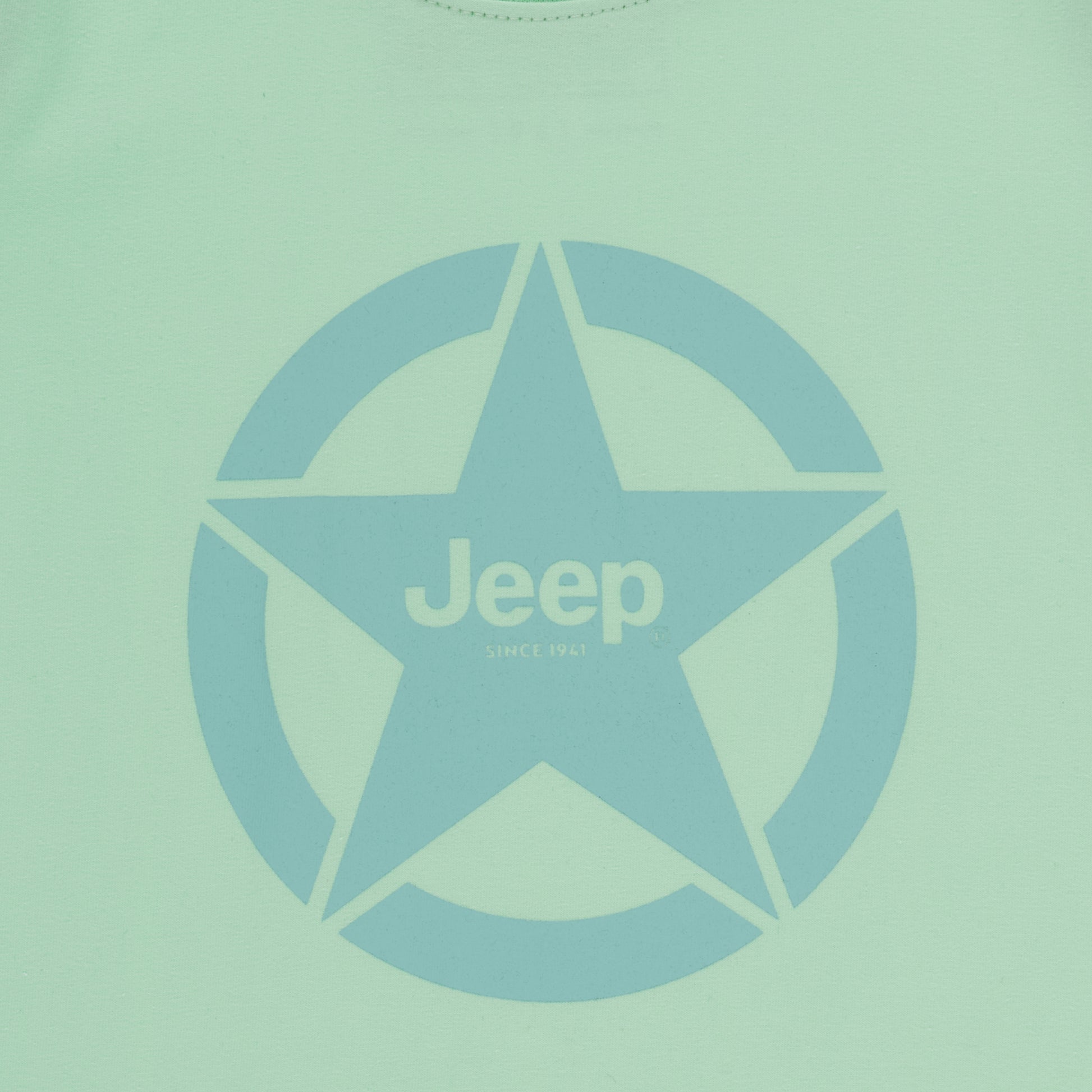 Jeep Boys Icon Star Logo T-Shirt In Mint