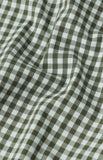 Pringle Mens Bernard Gingham Long Sleeve Tailored Shirt In Olive