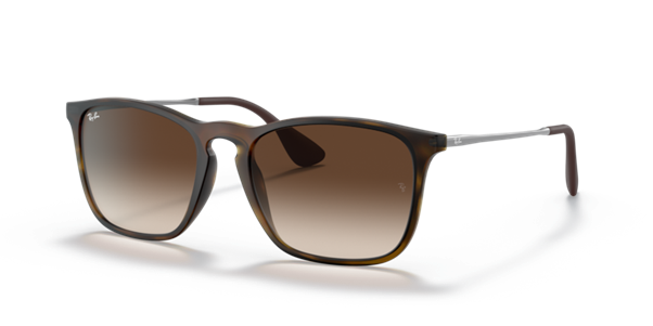 Ray-Ban Chris Unisex Sunglasses In Brown