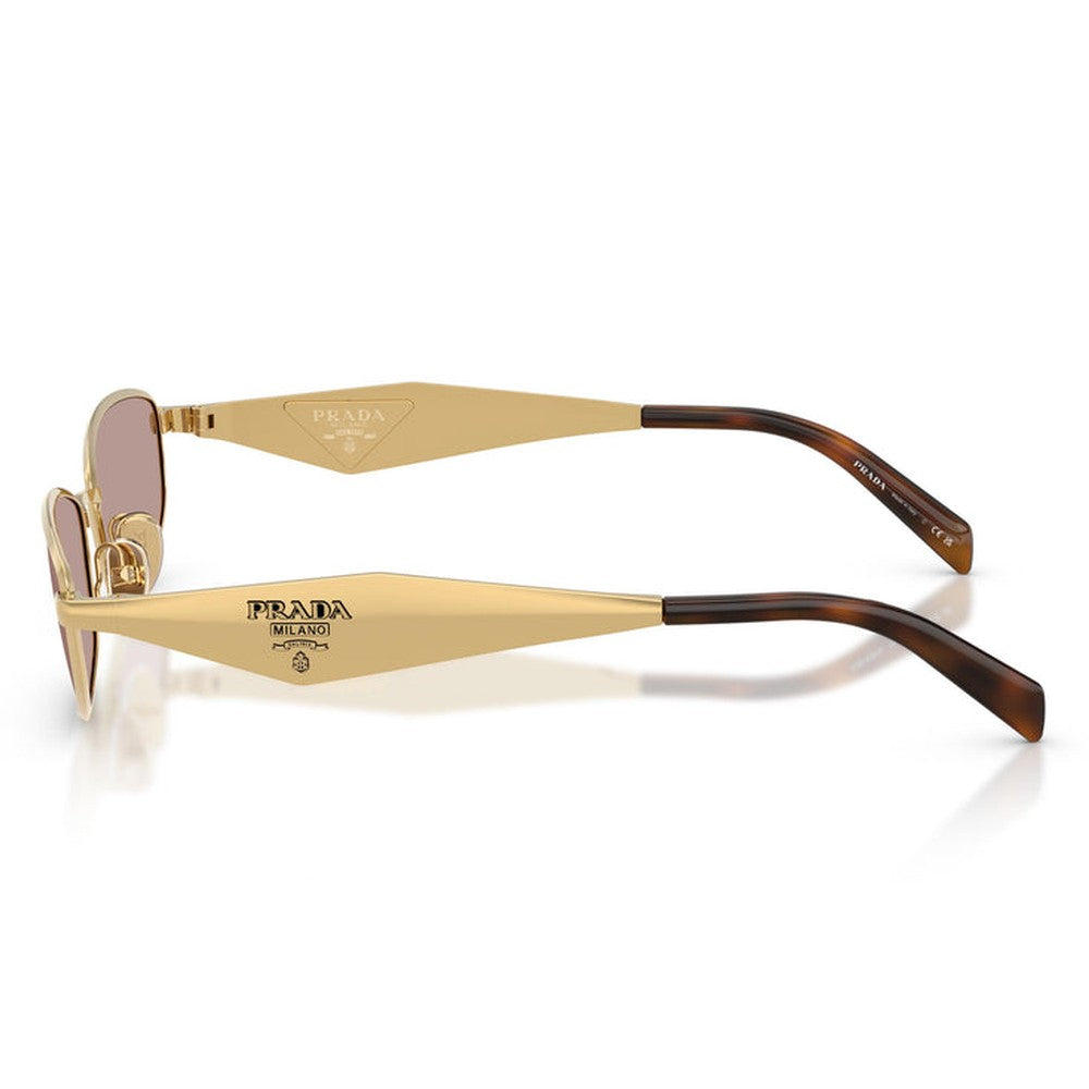 Prada Womens Sunglasses In Gold/Brown