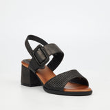 Butterfly Feet Ladies Teegan 1 Shoes In Black