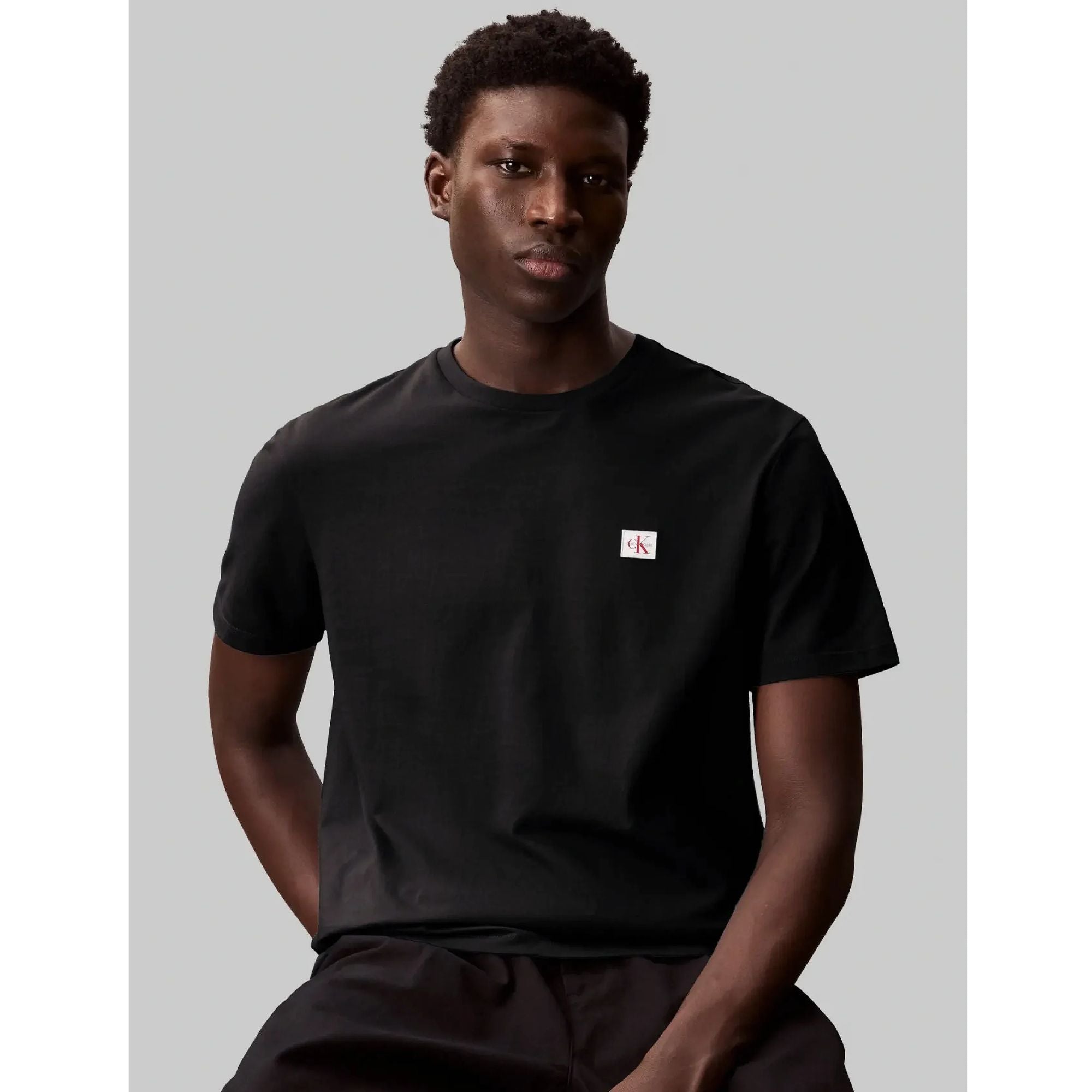 Calvin Klein Mens 2 Pack Badge T-Shirts In Black & White