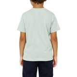 Polo Boys Logan Crested T-Shirt In Cool Sage