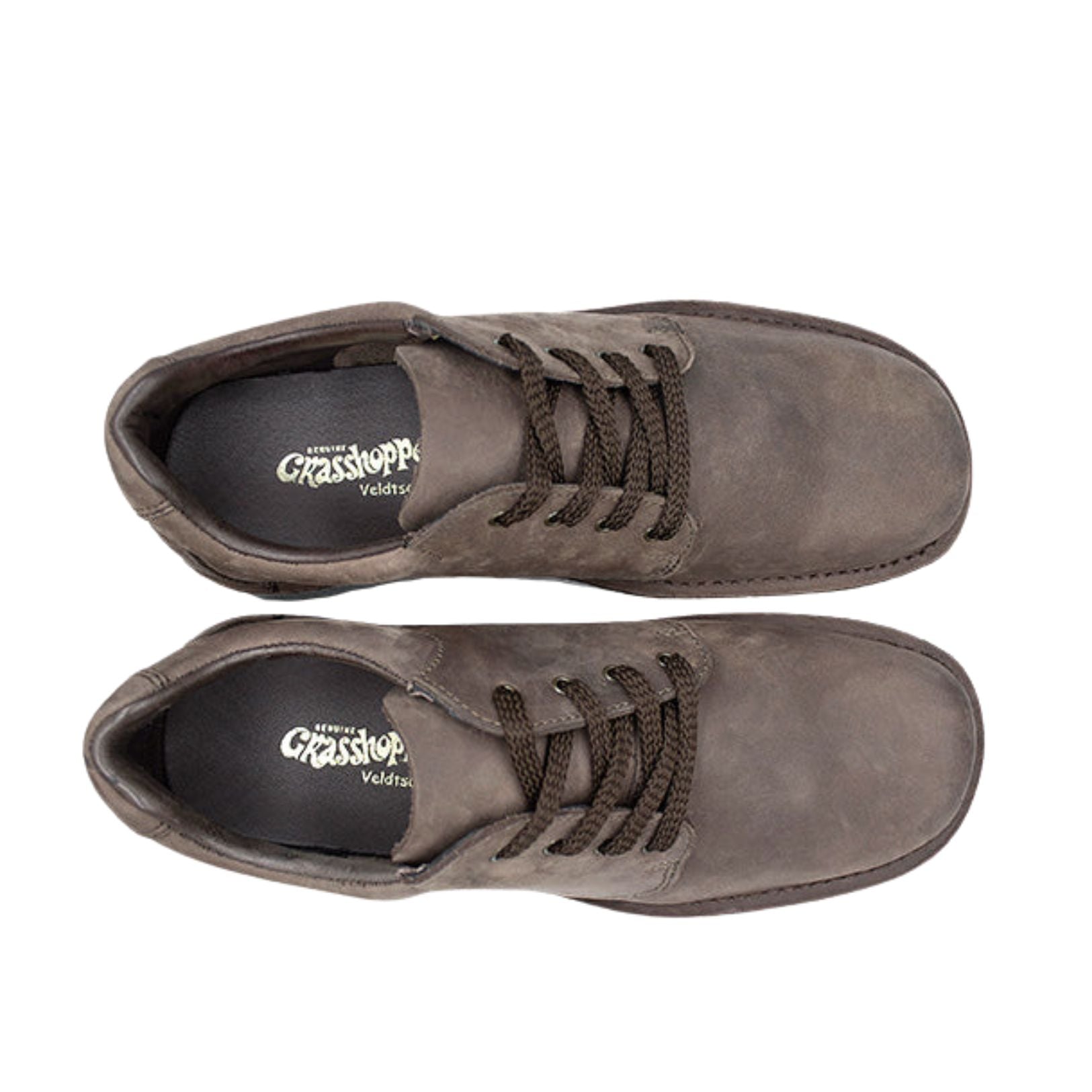 Grasshopper Mens Sandiego Shoes In Mocca