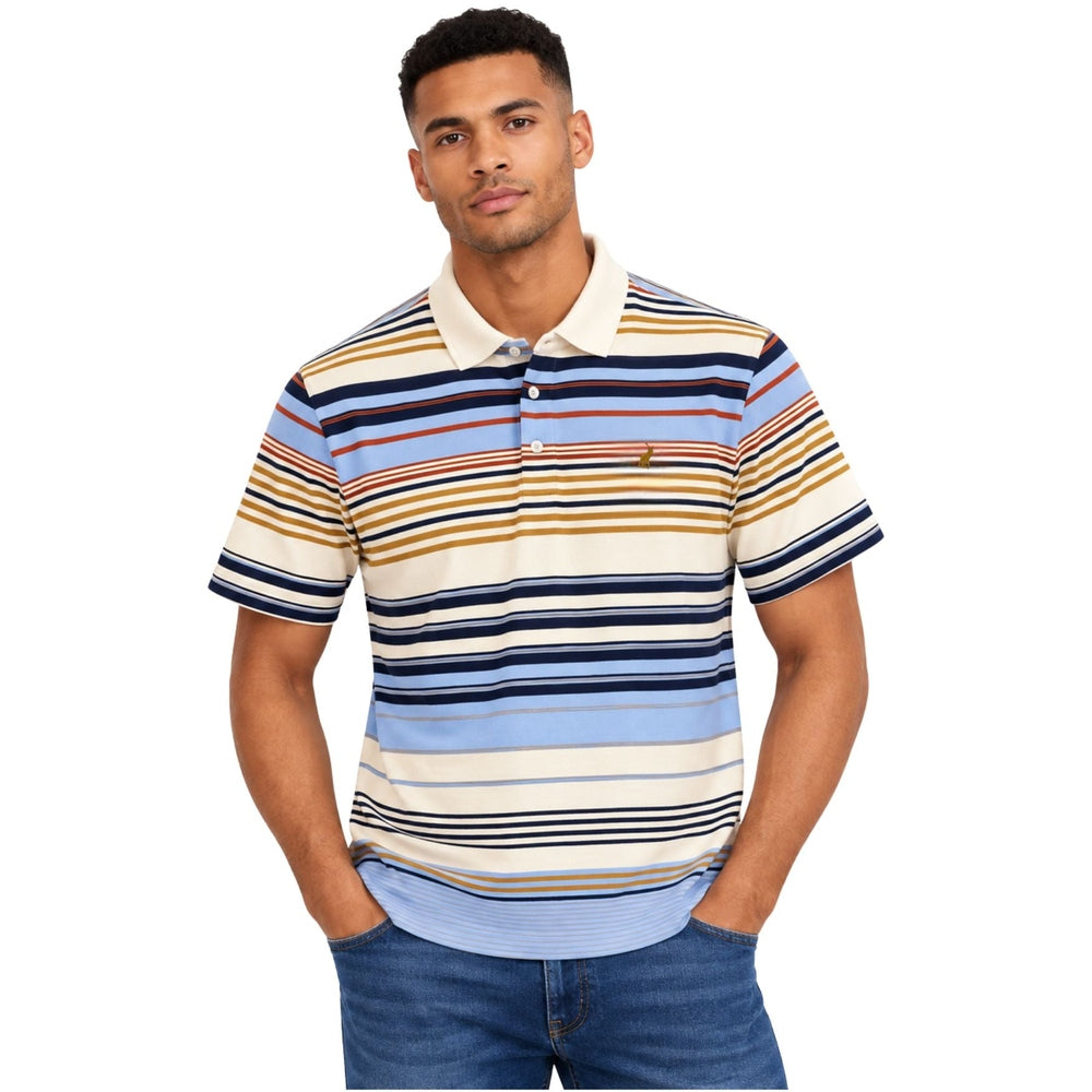 Polo Mens Stripe Mercerised Golfer In Multi
