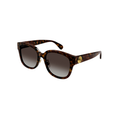 Gucci Sunglass Woman havana Brown GG1409SK-002