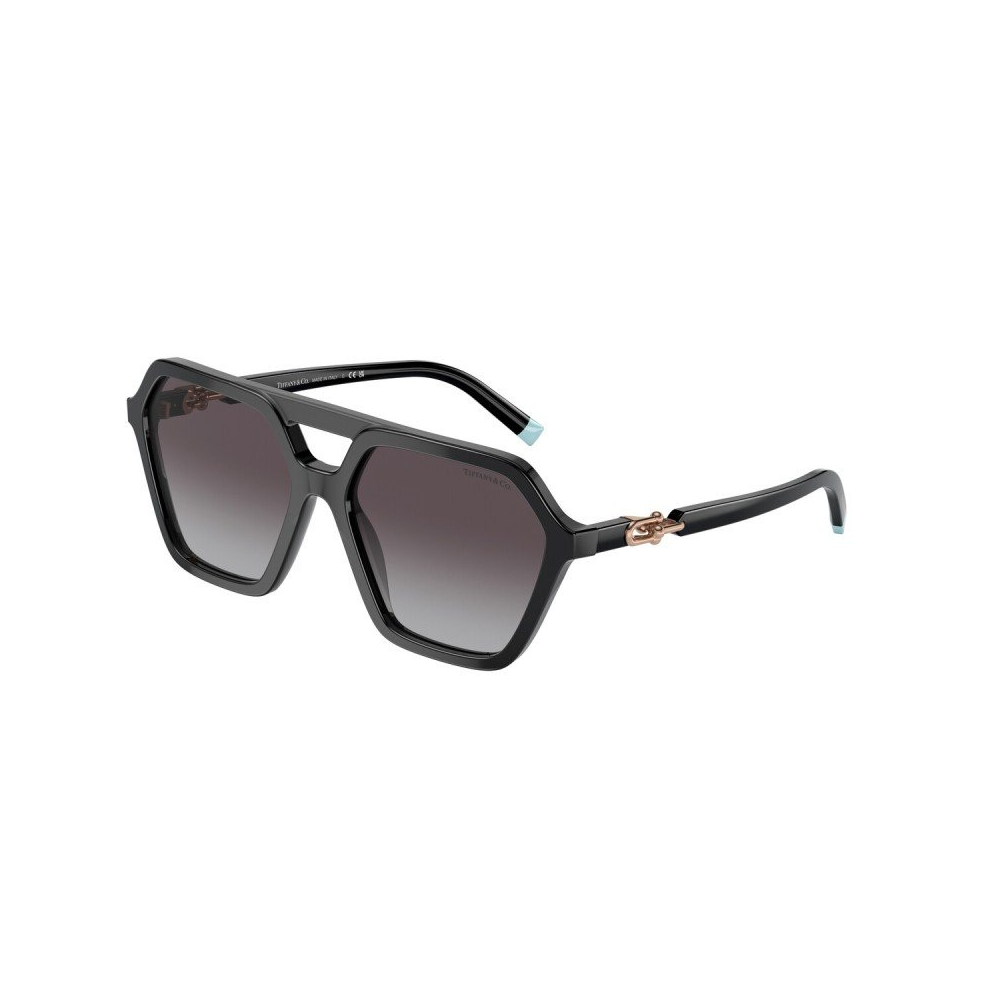Tiffany Sunglasses 4198 80013C 58 Black