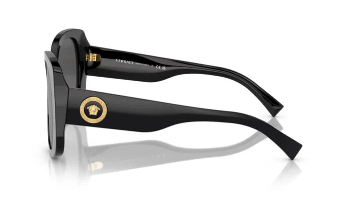 Versace Black And Gold  Sunglasses VE4387