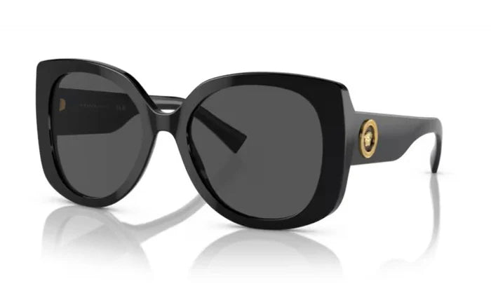 Versace Black And Gold  Sunglasses VE4387