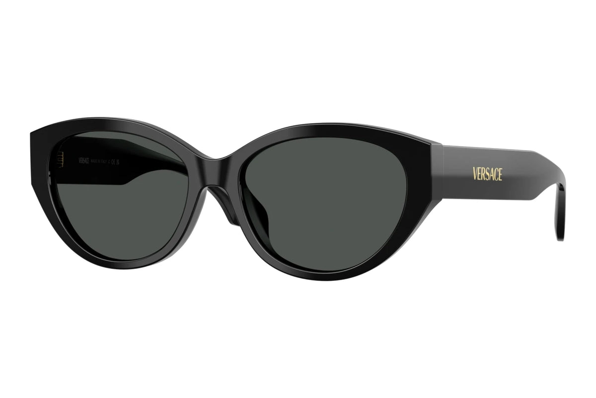 Versace Womens Gb1 Sunglasses In Black