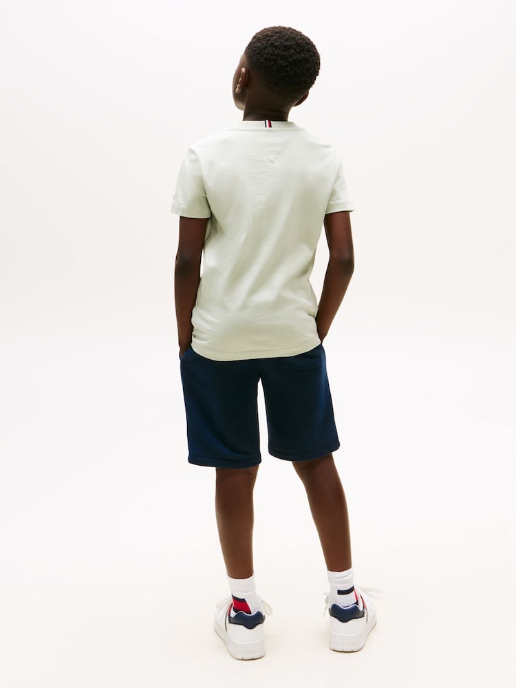 Tommy Hilfiger Boys Script Flag Print In Sage