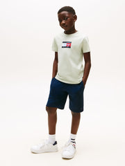 Tommy Hilfiger Boys Script Flag Print In Sage