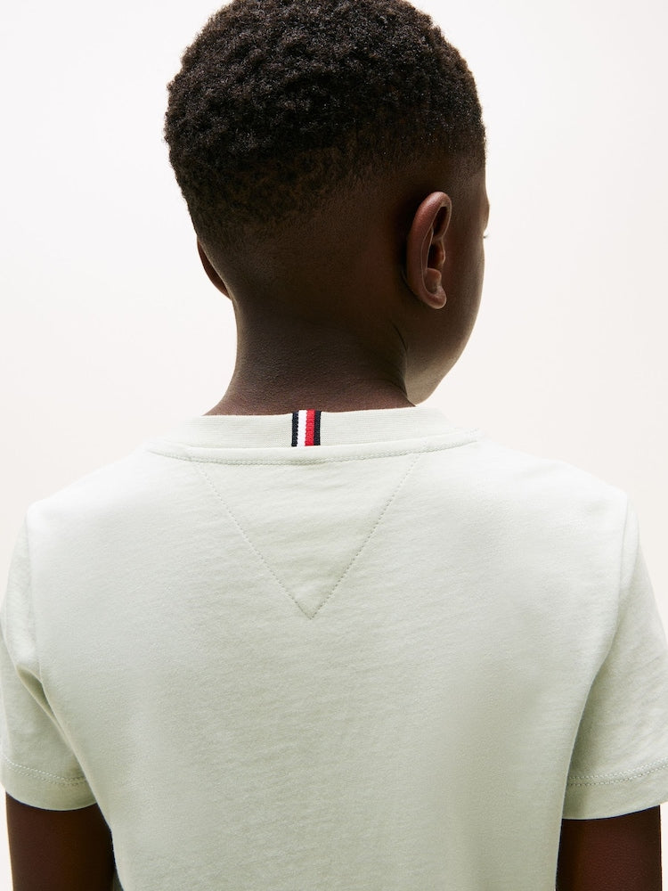 Tommy Hilfiger Boys Script Flag Print In Sage