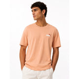 Puma Mens Essential 2 Col Small Logo T-Shirt In Peach