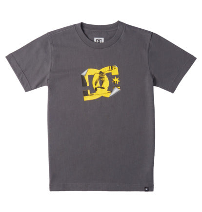 DC Boys Peel It Photo T-Shirt In Magnet