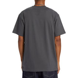 DC Shoes Star Classic T-Shirt In Magnet